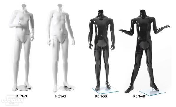 H1a2caa8d360448c4912c453eb9045529t