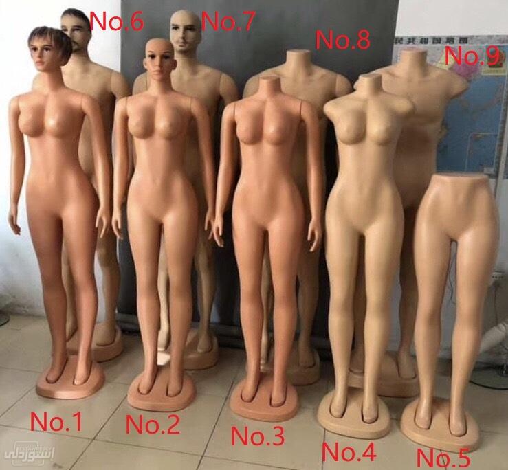 H46cec676877a4630bd2f72d691e5a7272