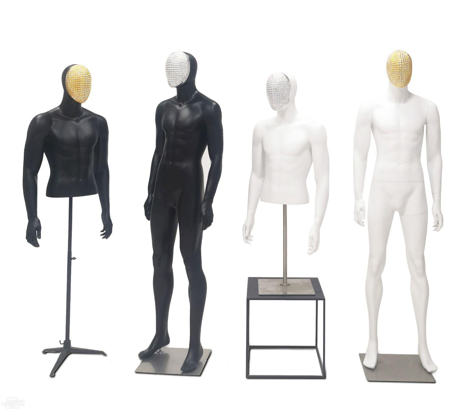 H4e913a8f363245a5a0b529d648fd64acv