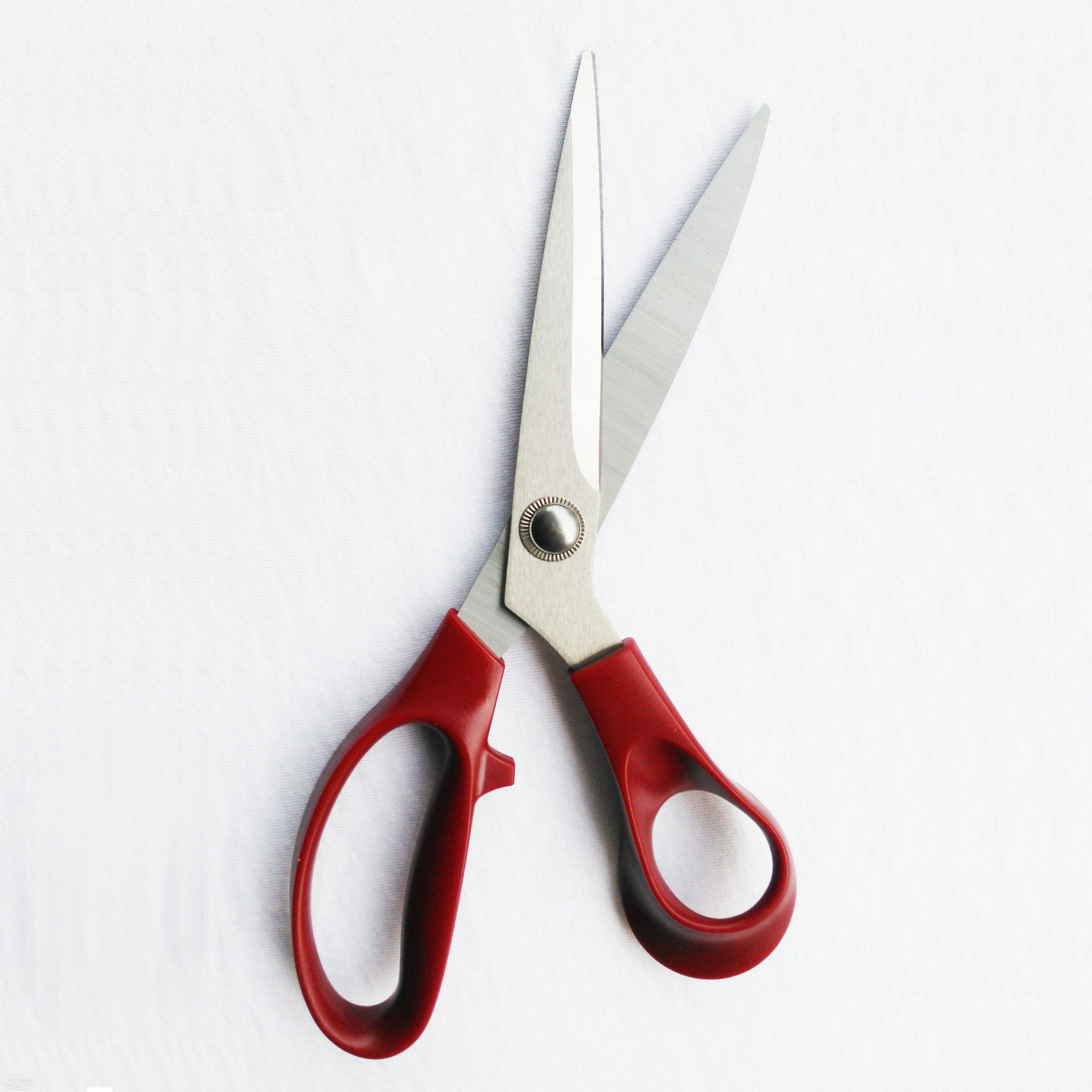 H5010833ec9b44068b3e2aecd52bef9c5Z