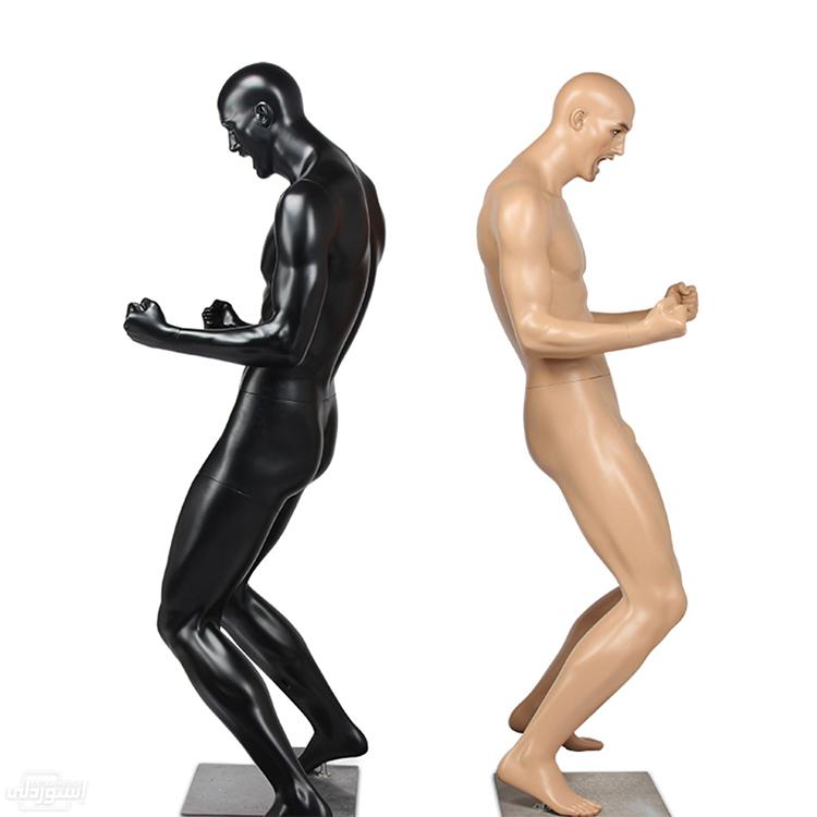 H5d942118deb0454e966398878ebe0995q