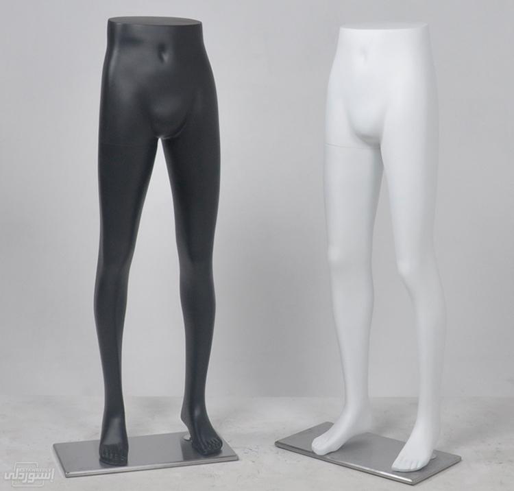 H8e1fb6c38d91435799254559aa35a12d4