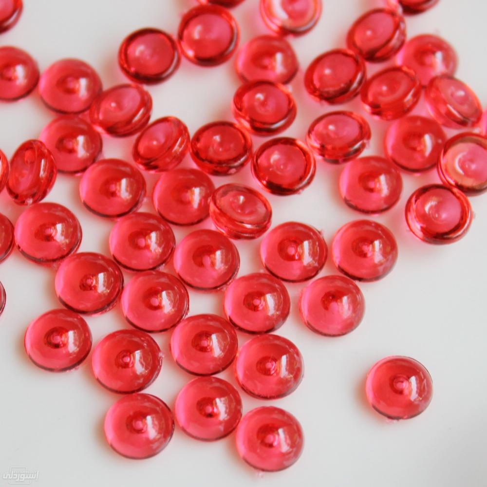 HLB1OepWTCzqK1RjSZFjq6zlCFXaW