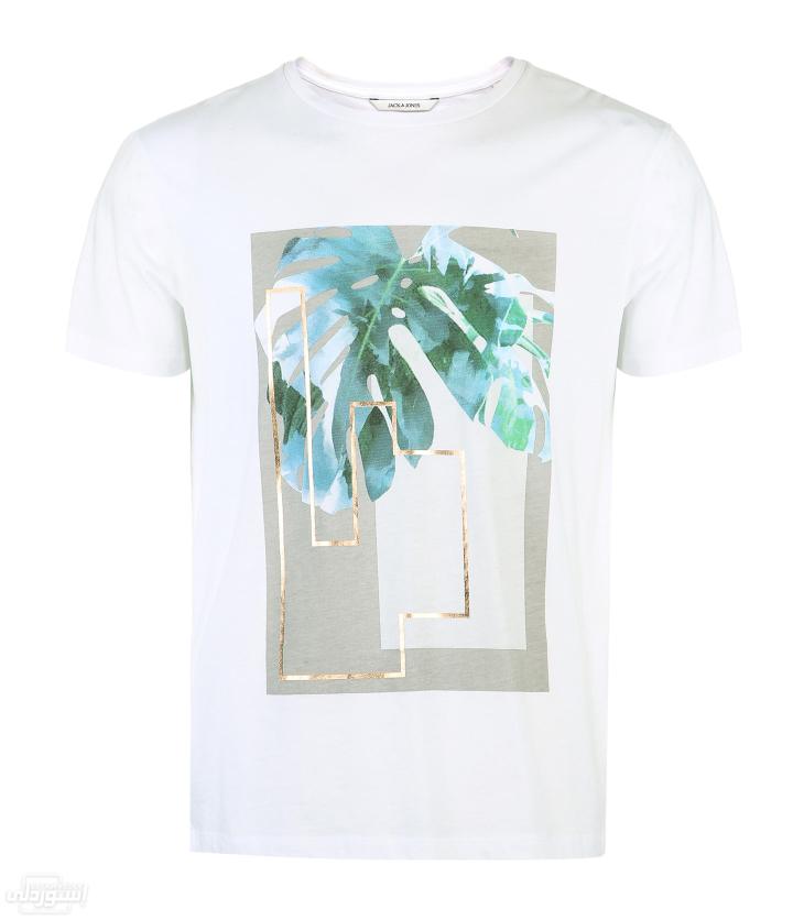 HTB1.xyeSXXXXXa2aXXXq6xXFXXXn