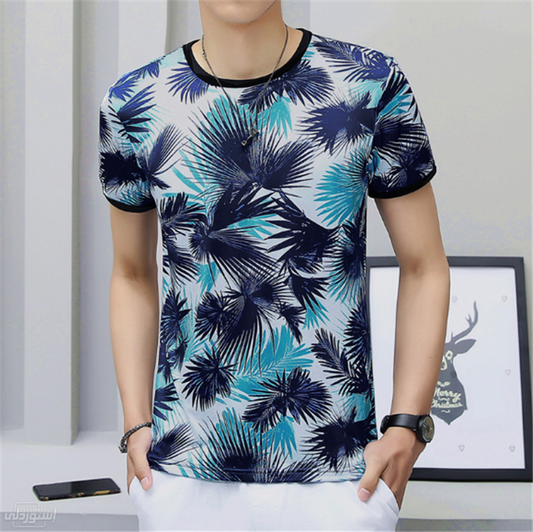 HTB1N2BgiY1YBuNjSsze761blFXaD