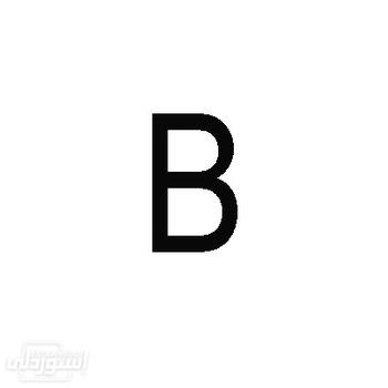 HTB1TGTsaTjxK1Rjy0Fnq6yBaFXan