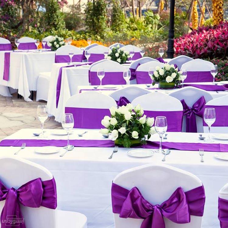 HTB1ZXP2d8aE3KVjSZLeq6xsSFXaF