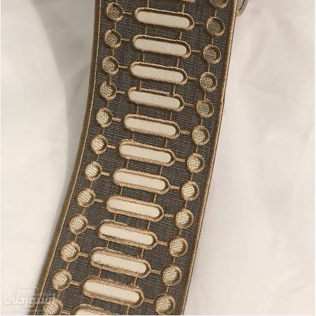 HTB1tDfnggHqK1RjSZFkq6x.WFXaz