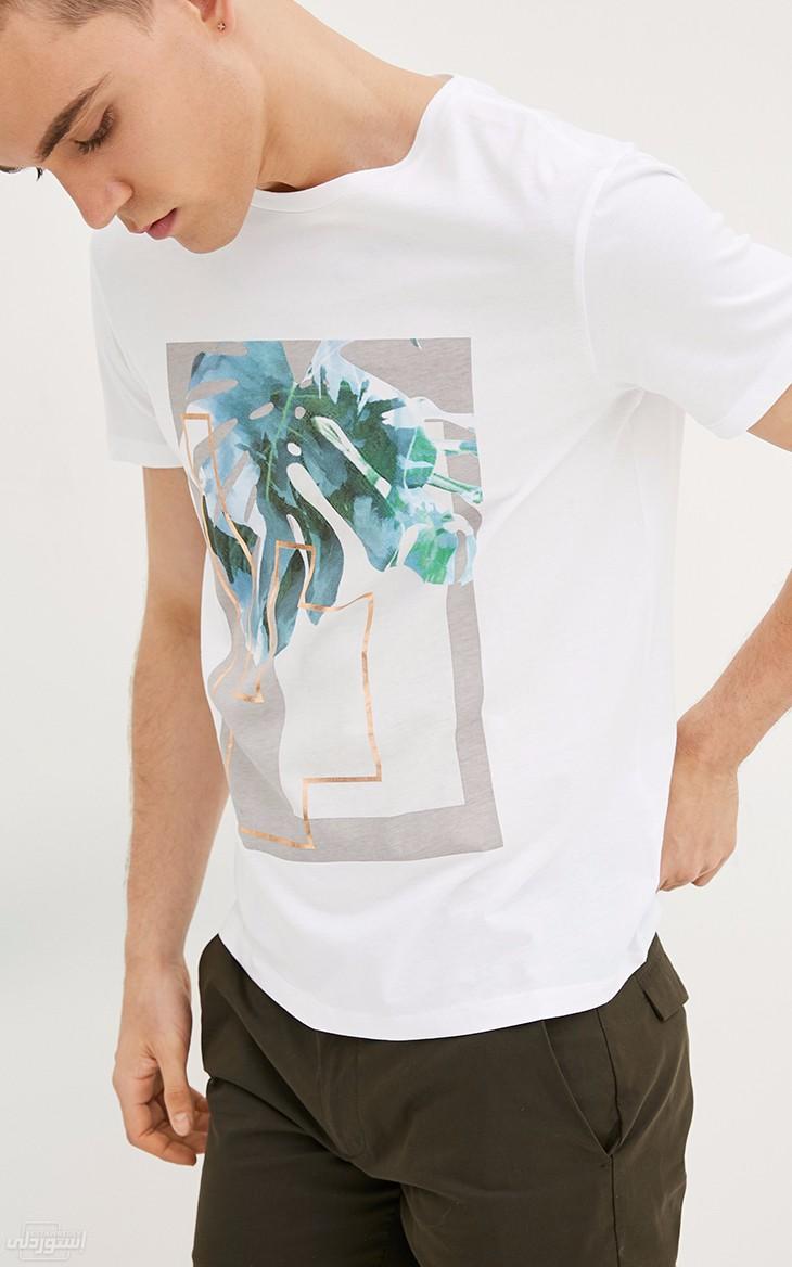 HTB1y6uESXXXXXbcXFXXq6xXFXXXz