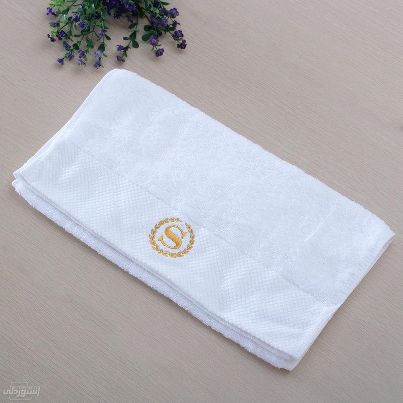 Ha138524df5df4c5c97d6c4d3ce9eddf1x