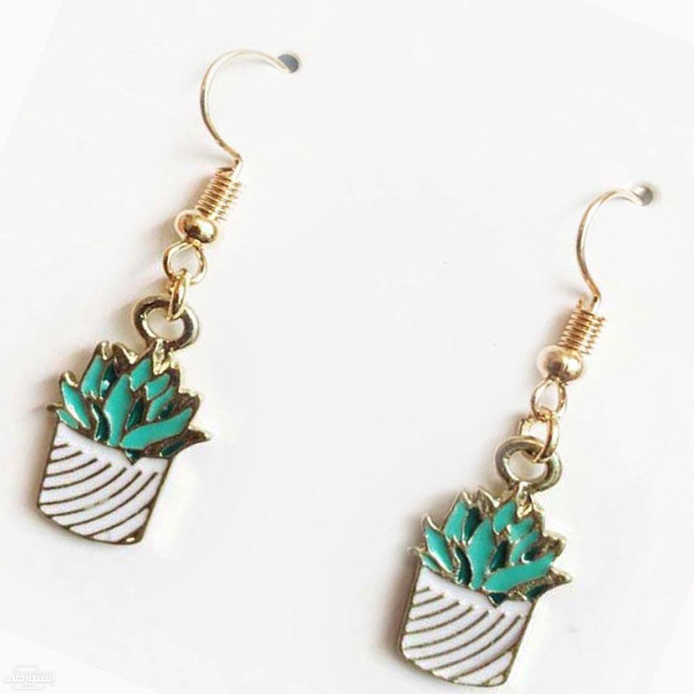 Hcb5e68485fb34bbd8e755daf81b1fd5ey