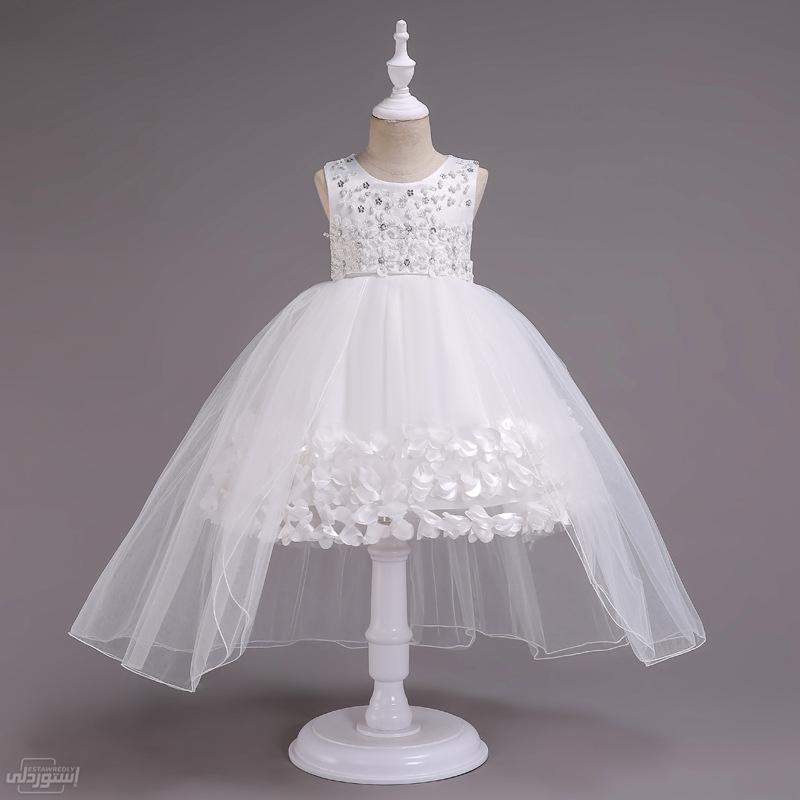 Hd55af2def91444dfa03a0ee86ed56d2cH