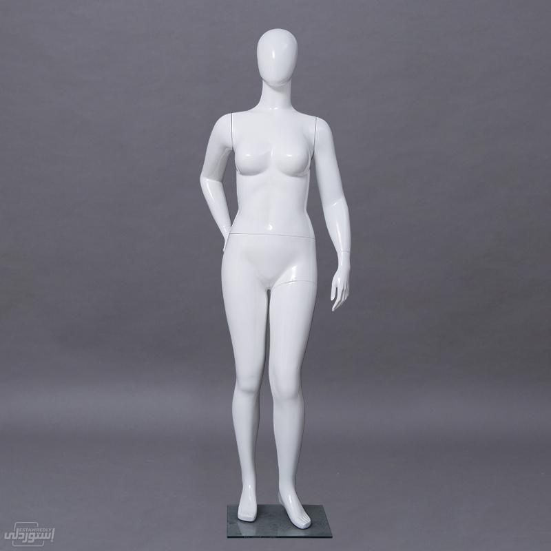 He7604fe2b4b64e8ea309c079fba81db3K