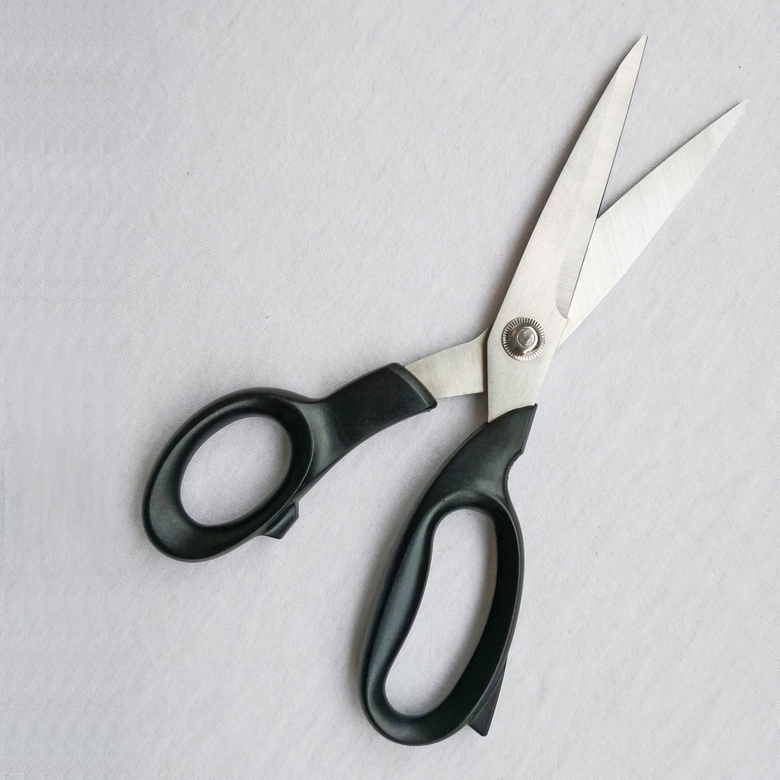 Hf5d6e14ec4594843b3efdebd4dc8693cN