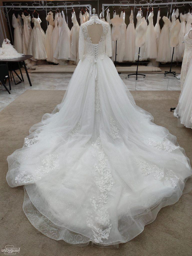 فستان زفاف شفاف من أعلى يحتوى على أشكال وروسومات جميلة مكشوف من الخلف 
