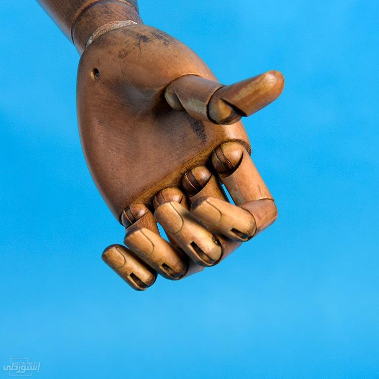 full-body-frp-wooden-arm-deerskin-surfac_main-4