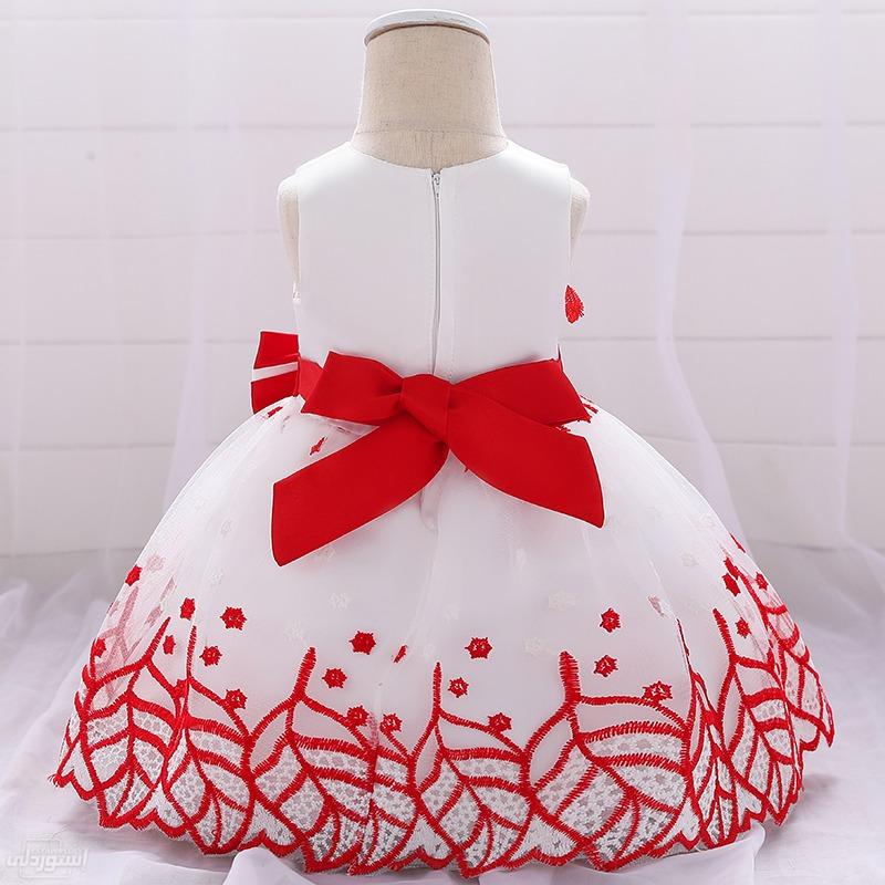 infant-baby-clothes-flower-girl-wedding_main-2