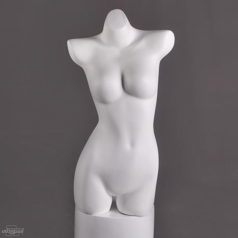 lingerie-model-prop-female-bust-model-we_main-2