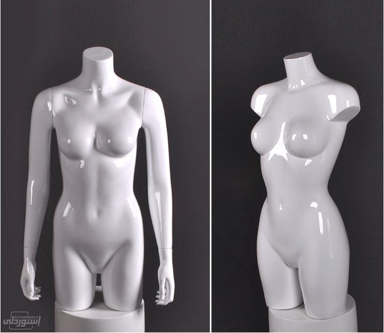 lingerie-model-prop-female-bust-model-we_main-5