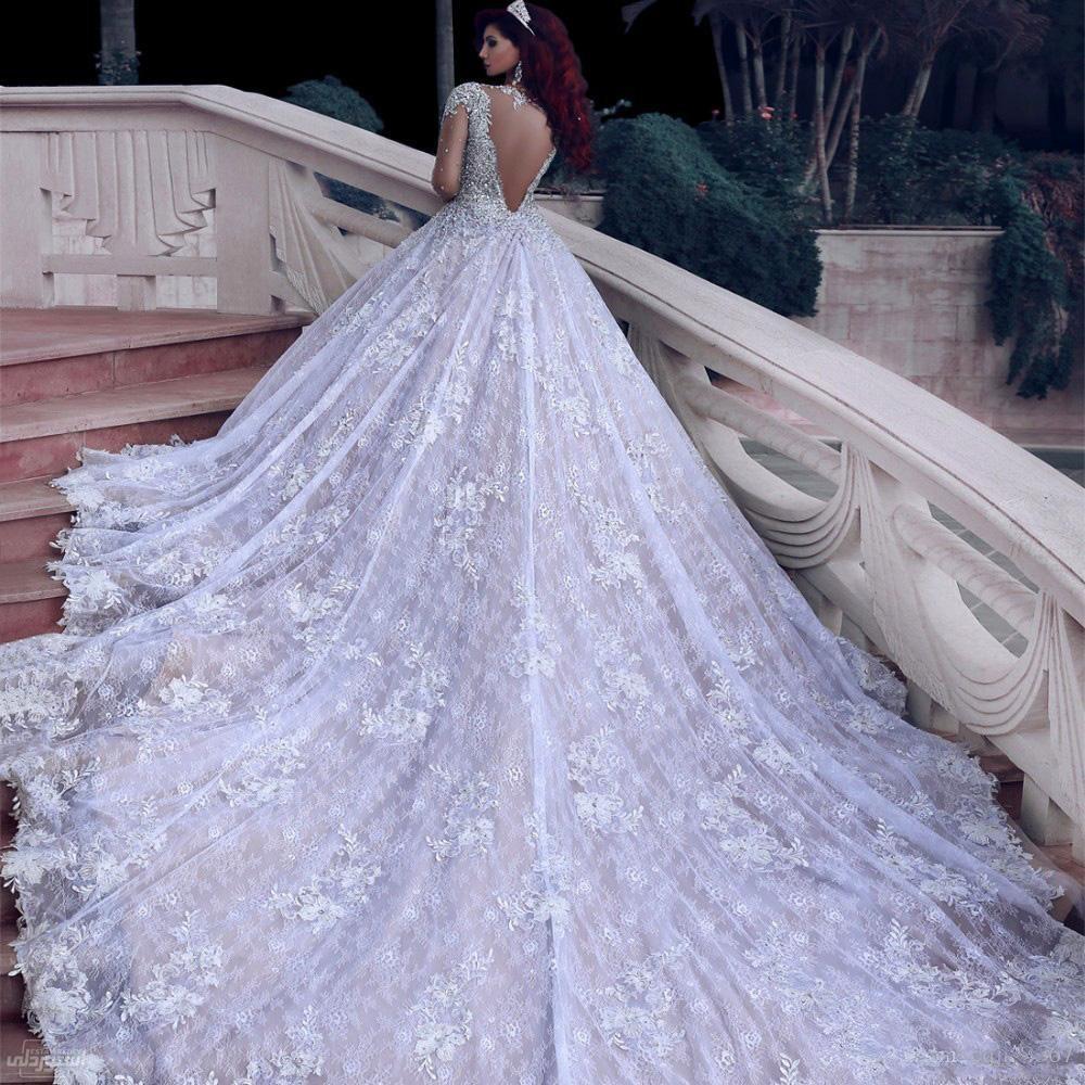 فستان زفاف فاخر وعصري باكمام شفافة ومكشوف الظهر طويل جدا من الخلف ومزخرف بالورود 