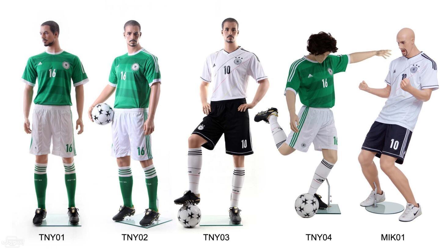 modern-display-muscle-bodybuilder-flexib_description-2