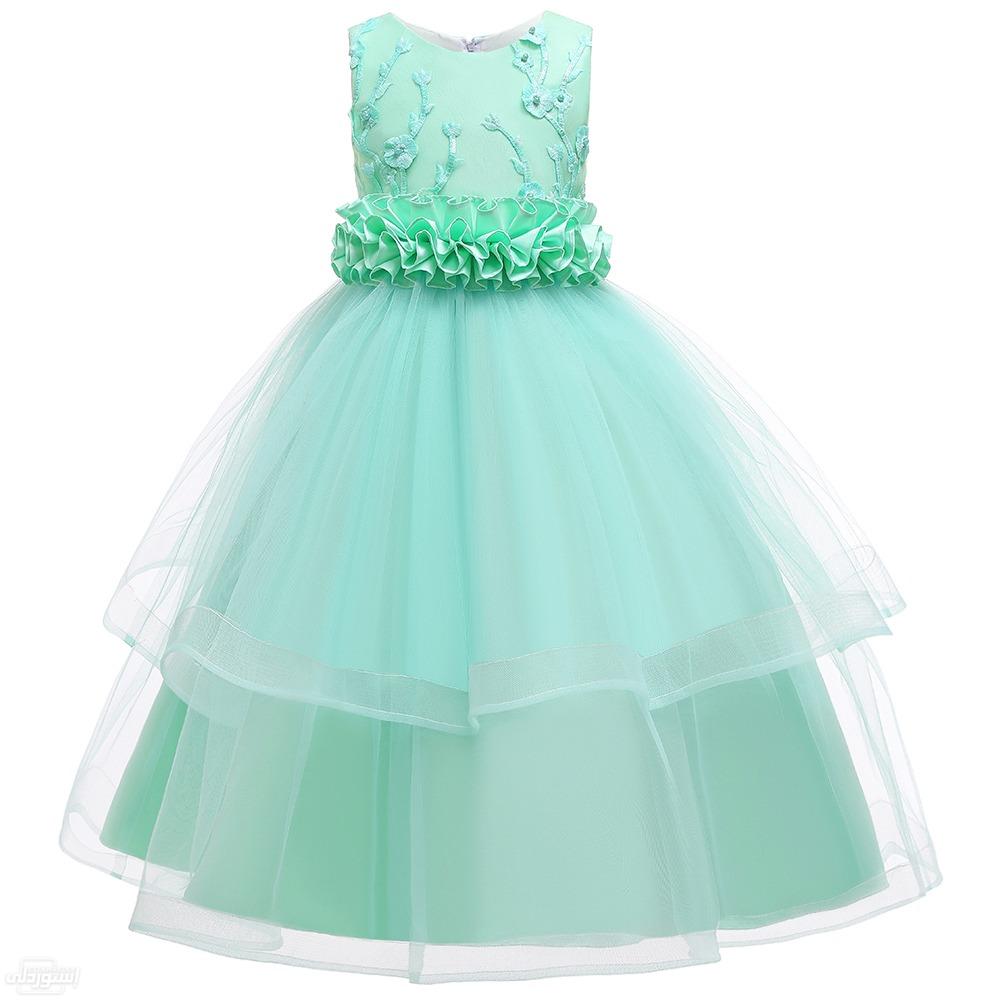 new-fashion-flower-girl-dress-party-birt_main-2