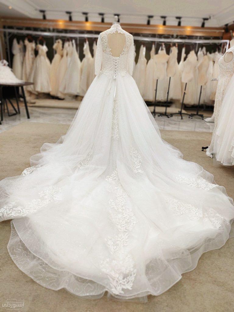 فستان زفاف ابيض شفاف من أعلى يحتوى على أشكال وروسومات جميلة كلاسيكي 