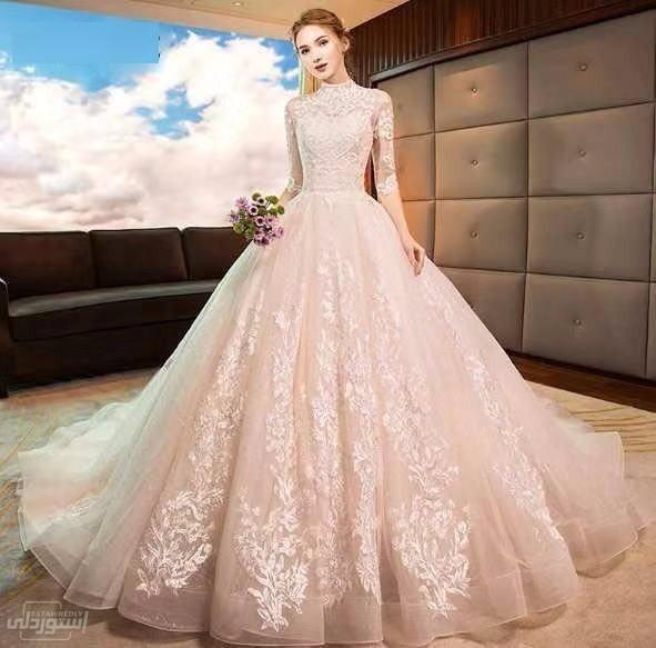 فستان زفاف شفاف من أعلى يحتوى على أشكال وروسومات جميلة وباكمام شفافة 