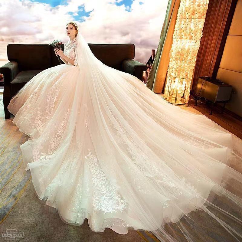 فستان زفاف شفاف من أعلى يحتوى على أشكال وروسومات جميلة شيك وانيق