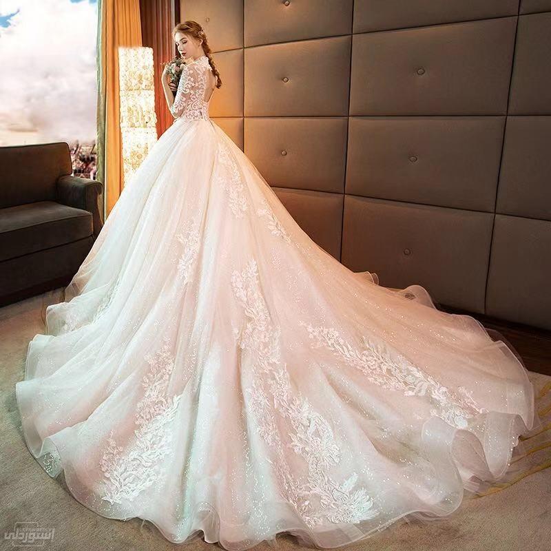 فستان زفاف شفاف من أعلى يحتوى على أشكال وروسومات جميلة طويل جدا من الخلف 