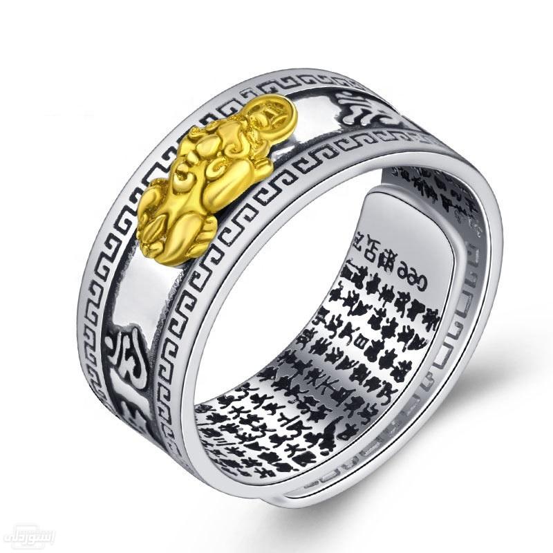 HTB1G3_xaDHuK1RkSndVq6xVwpXaI