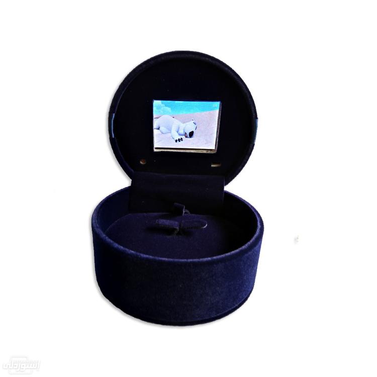 HTB1LGexbVkoBKNjSZFkq6z4tFXa3