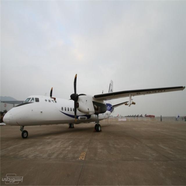 HTB1PCdYpyQnBKNjSZFmq6AApVXa9