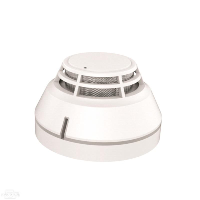 HTB1PUjfXZTxK1Rjy0Fgq6yovpXaE