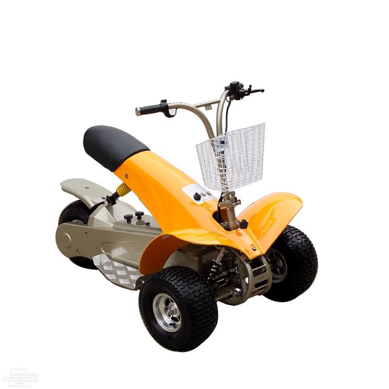 HTB1SbGMeKuSBuNjSsplq6ze8pXaH