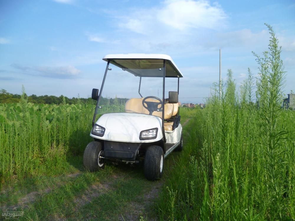 HTB1gSXFKXXXXXaYXVXXq6xXFXXXg