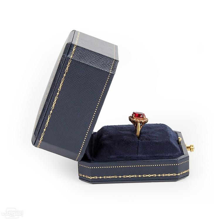 HTB1ijYYXUWF3KVjSZPhq6xclXXaE