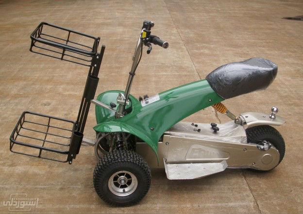 HTB1kKxVKVXXXXbcXpXXq6xXFXXXw