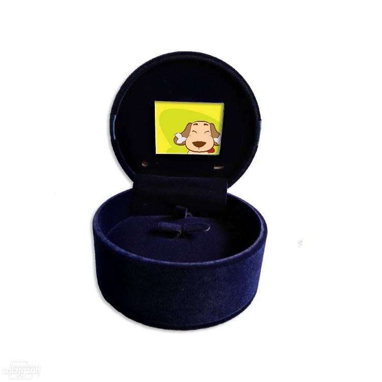 HTB1n477hXuWBuNjSszbq6AS7FXaL