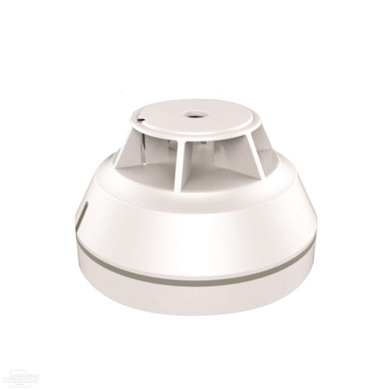 HTB1nTPfXZfrK1RjSszcq6xGGFXay