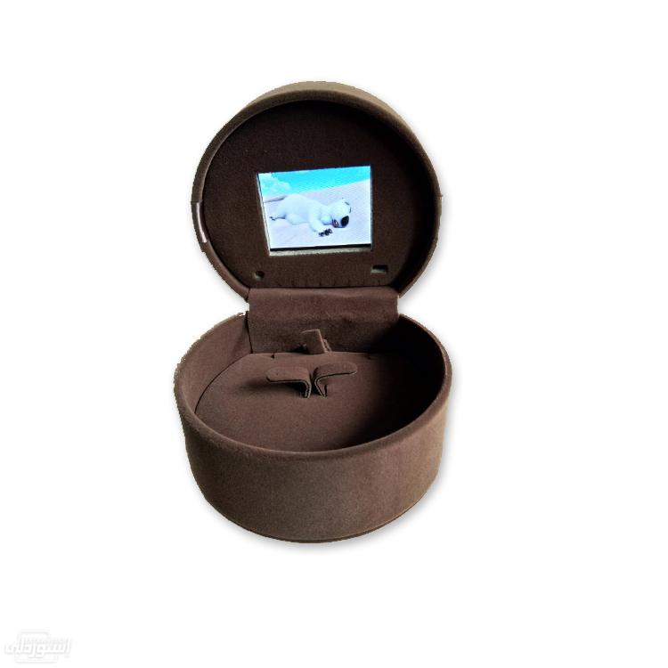 HTB1t14Ghv5TBuNjSspmq6yDRVXaN