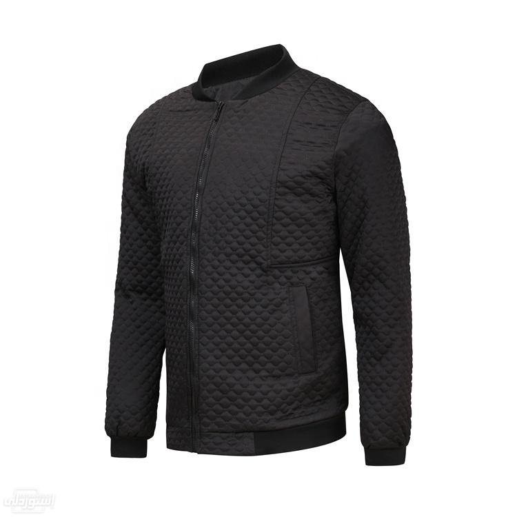 HTB1vxQna1P2gK0jSZFoq6yuIVXaL