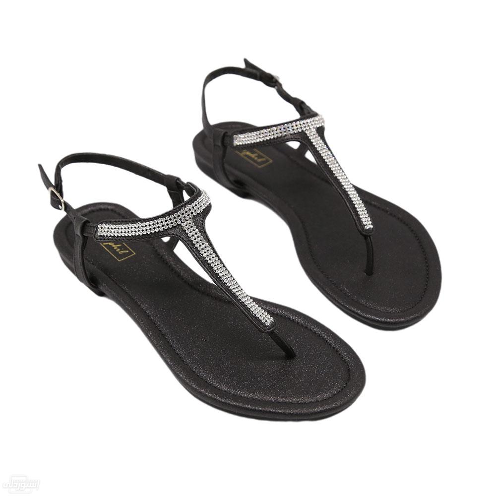 H040881921a574f378fa82900fbc0b29eZ