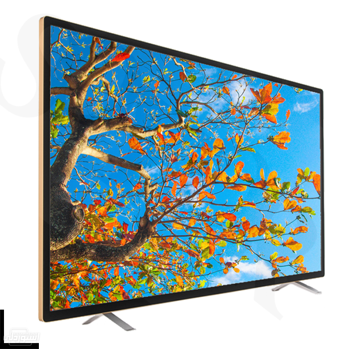 H786bf06b31114f80a6d2e2db9a84897dX