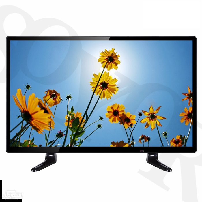 HTB1JTBeXkyWBuNjy0Fp761ssXXaj