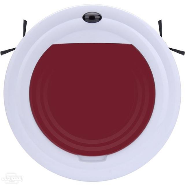 HTB1XzBey2uSBuNkHFqDq6xfhVXaM