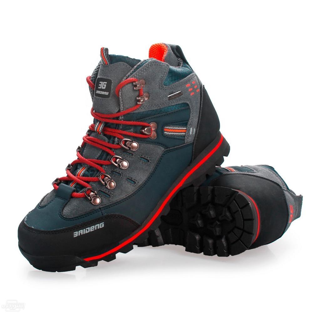 HTB1Z9RaaN2rK1RkSnhJq6ykdpXaM