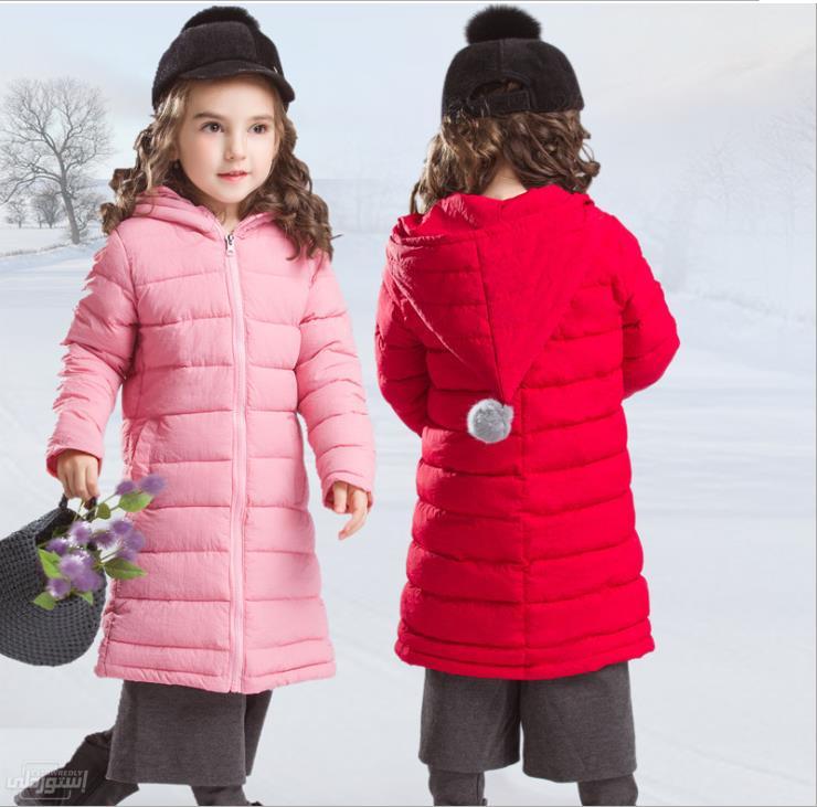 HTB1a3VjIKySBuNjy1zdq6xPxFXaq