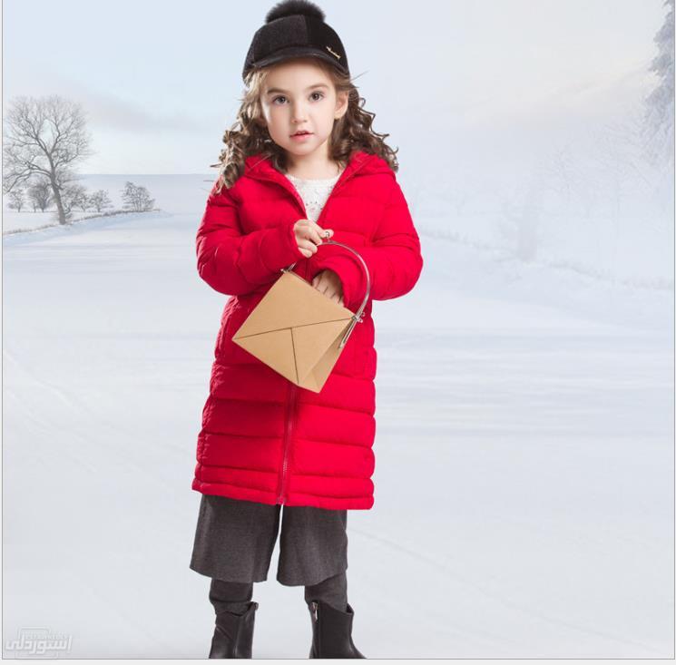 HTB1yhaXby6guuRjy0Fmq6y0DXXaH