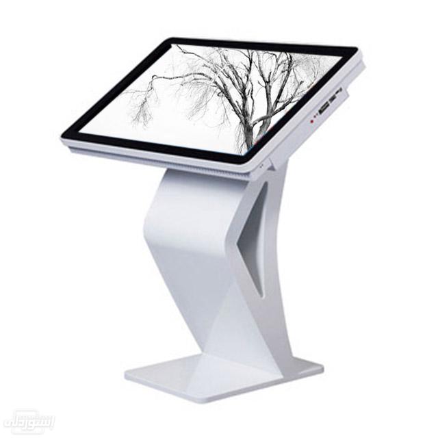 HTB1ynW5XIfrK1Rjy1Xdq6yemFXaH